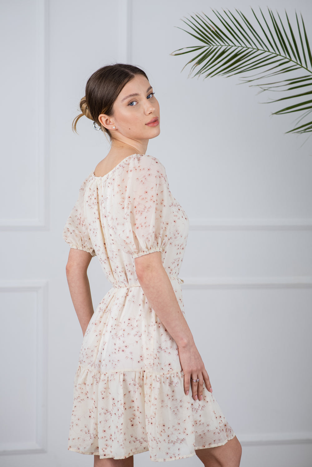 Delicat rochie sifon umbra "pudra"