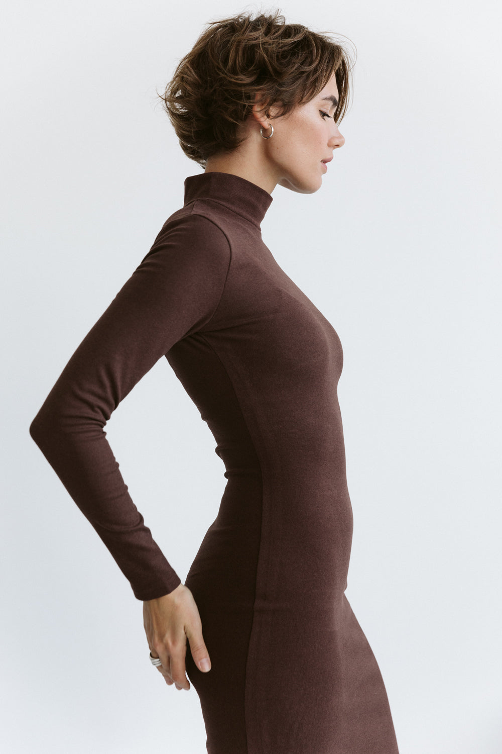 Chocolate Long Sleeve Silhouette Midi Dress