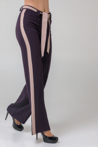 Брюки 5309  Баклажан Баклажан