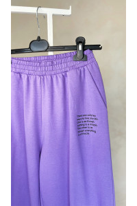 Штаны 6003\1 Лиловый