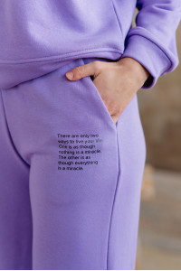 Штаны 6003 Лиловый