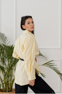 Блуза 6018 Желтый