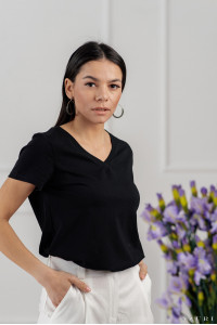 Футболка 6031 Черный Черный