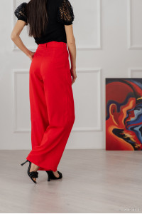 Брюки 6034 Красный
