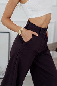 Брюки 6106 Сливовый