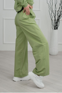 Штаны 6228 Оливковый