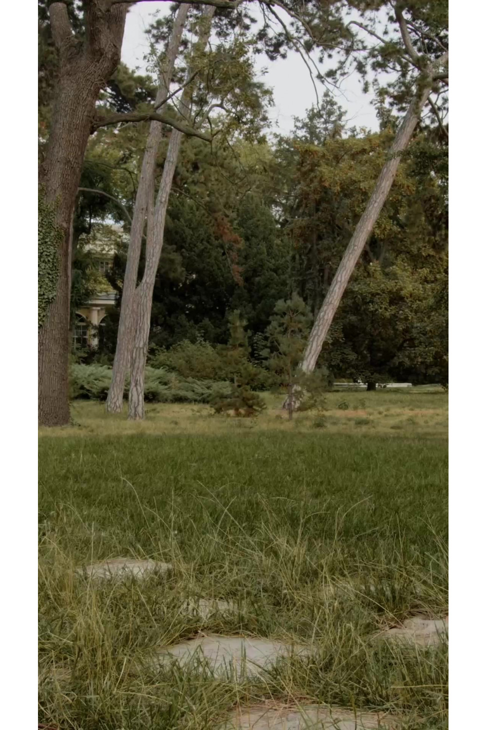 Брюки 6731 Серый